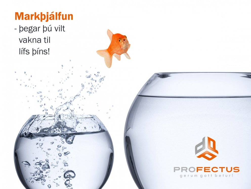 Allir þessir dagar sem komu og fóru - var það lífið?