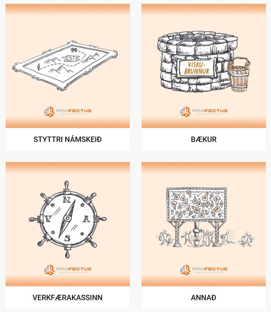 Vefverslun Profectus