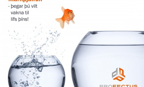 Allir þessir dagar sem komu og fóru - var það lífið?