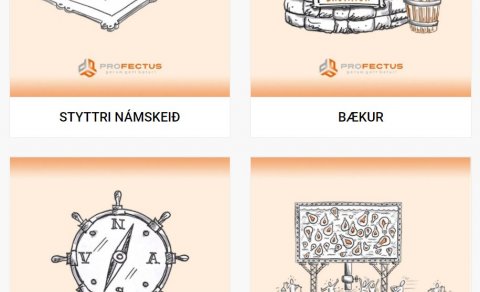 Vefverslun Profectus