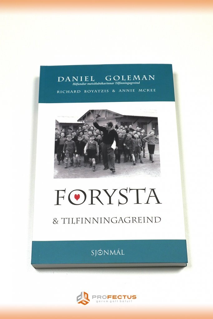 Forysta og tilfinningagreind